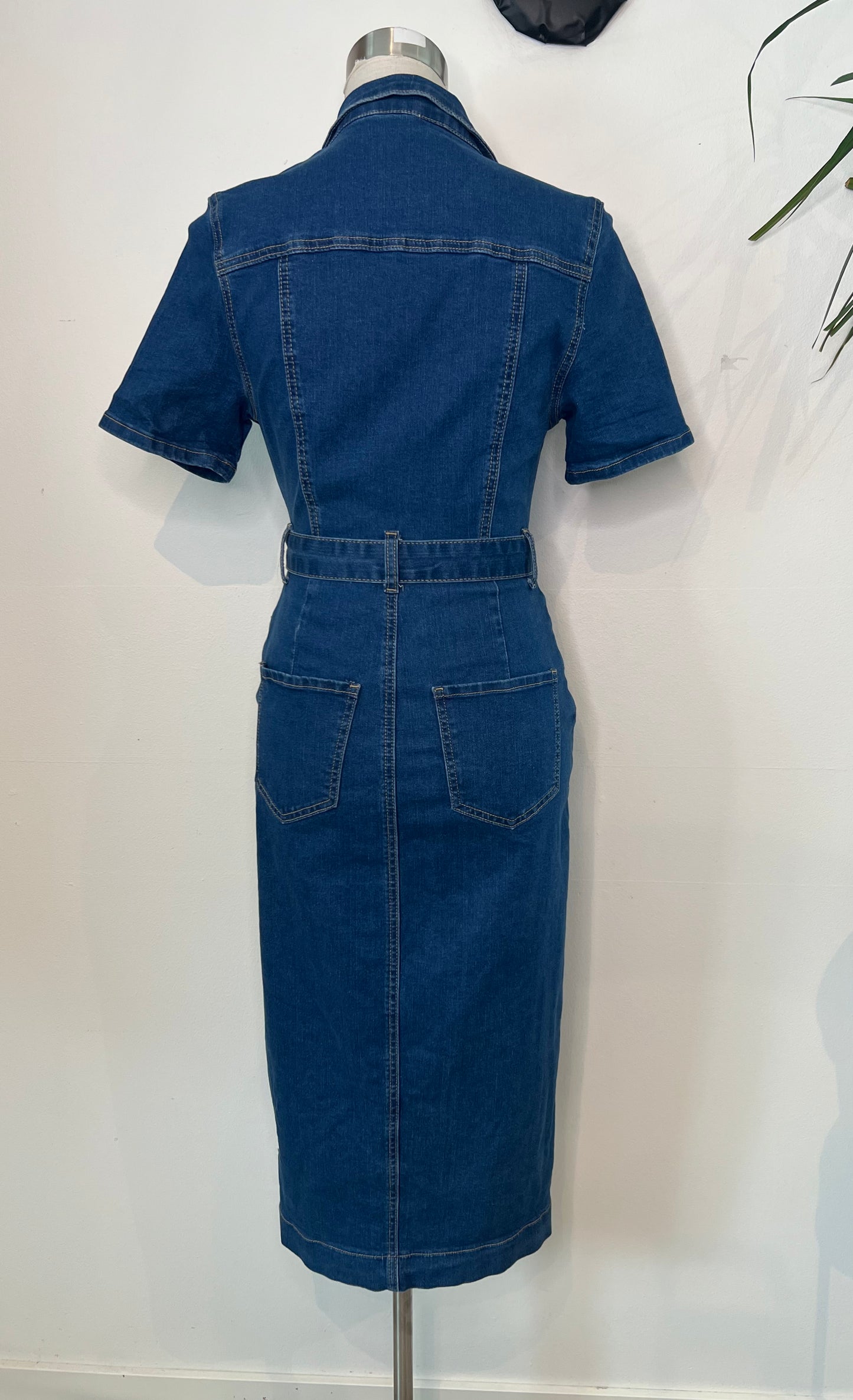 Farkkumekko, XS